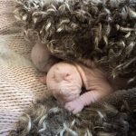 Portée Flower Bomb Sinnamary et Flower Bomb Up to you