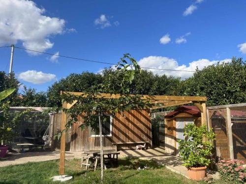 elevage de sphynx et cornish rex