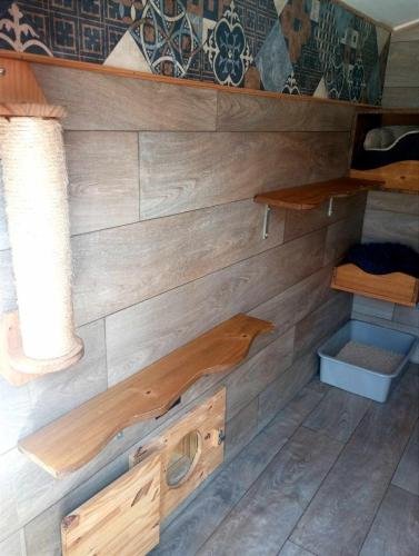 elevage sphynx cornish rex