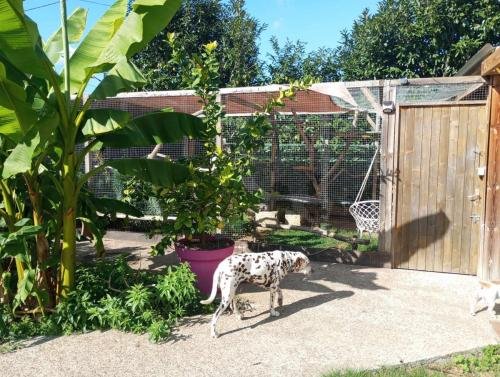 386449067_10065143696891580_632439486466919462_n